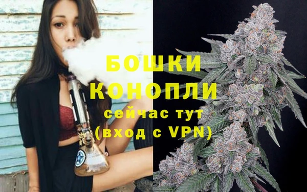 шишки Балабаново