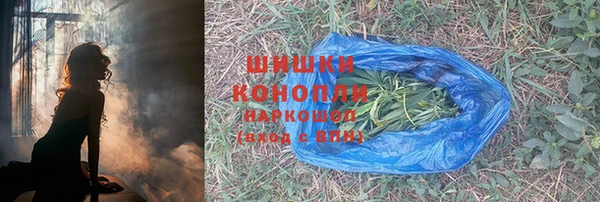 шишки Балабаново