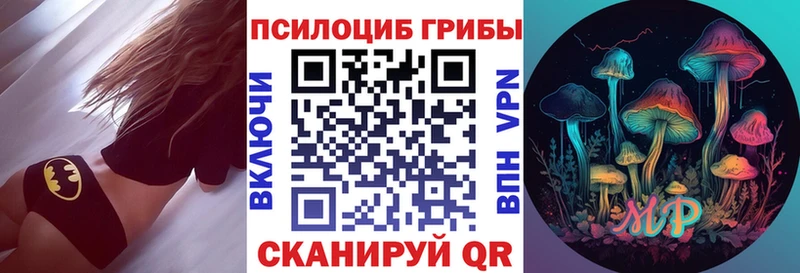 купить наркотик  Кологрив  Галлюциногенные грибы Psilocybine cubensis 